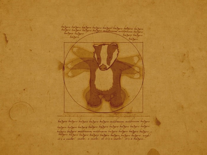 Badger illustration in the style of Leonardo da Vinci