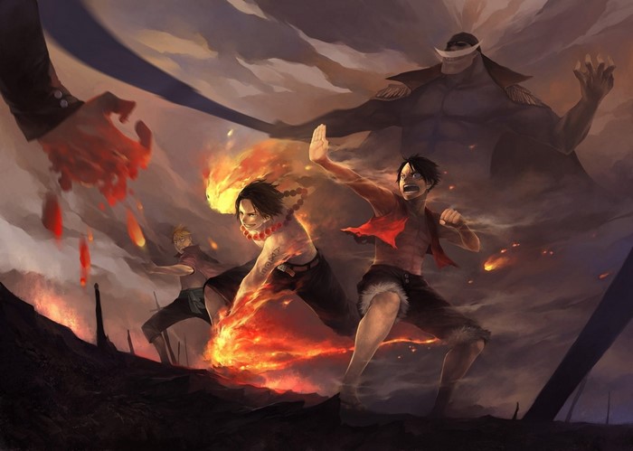 Ace and Luffy from One Piece fighting
