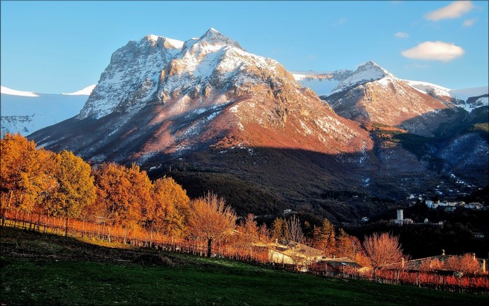 Autumn trees in a valley with snowy mountains