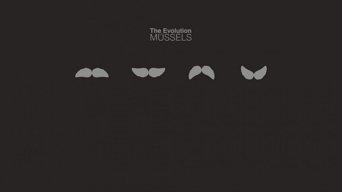 The Evolution Mussels Illustration