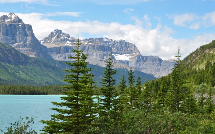 Turquoise lake and mountains with pine trees