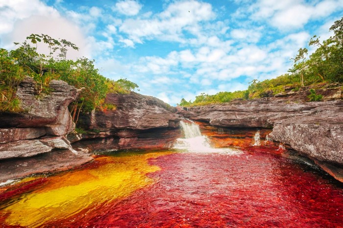 Caño Cristales river in Colombia with red and yellow water