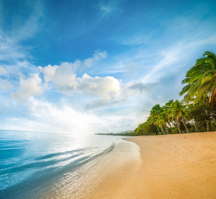 Tropical beach with palm trees and ocean waves