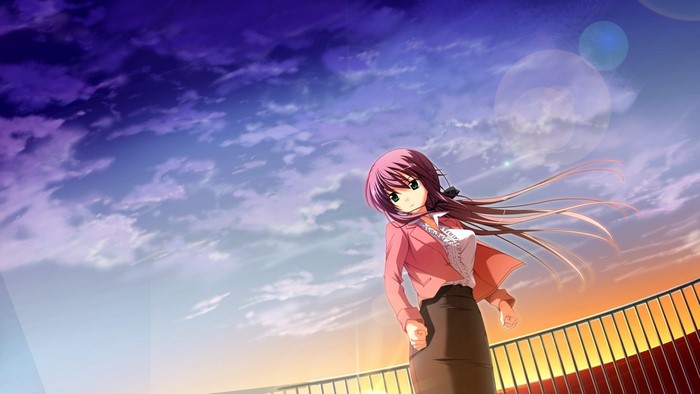 Anime girl with long hair against a sunset sky