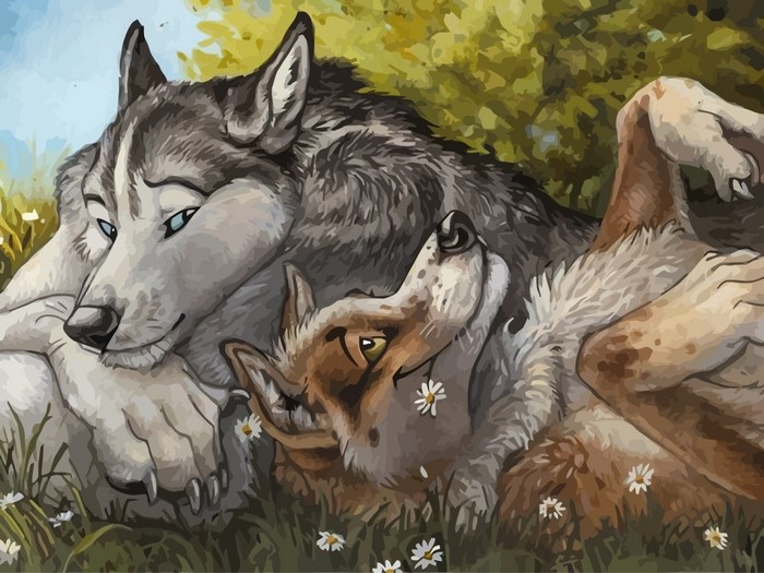 Two wolves resting in a grassy field with flowers