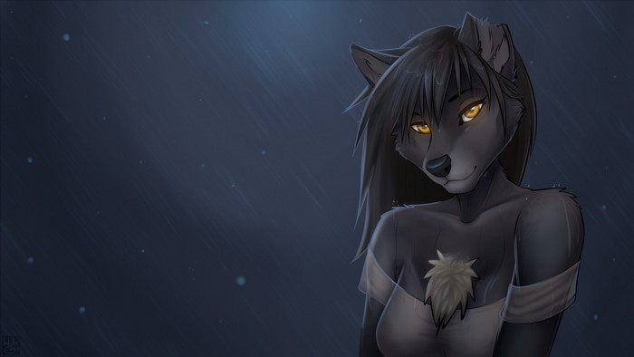 Darkness with a wolf girl
