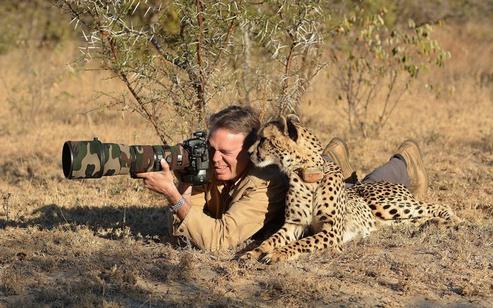 Photographer with cheetah in savanna