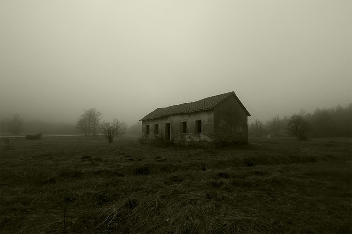 Abandoned house in a foggy field