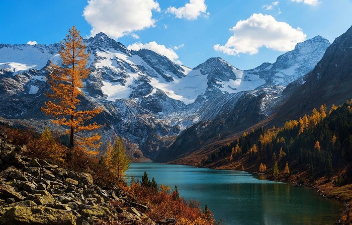 Autumnal Lake and Snowy Mountains