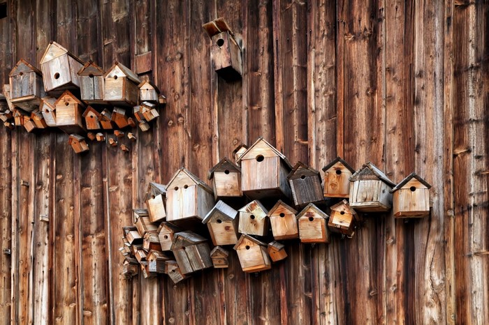 Many wooden birdhouses on a wooden wall