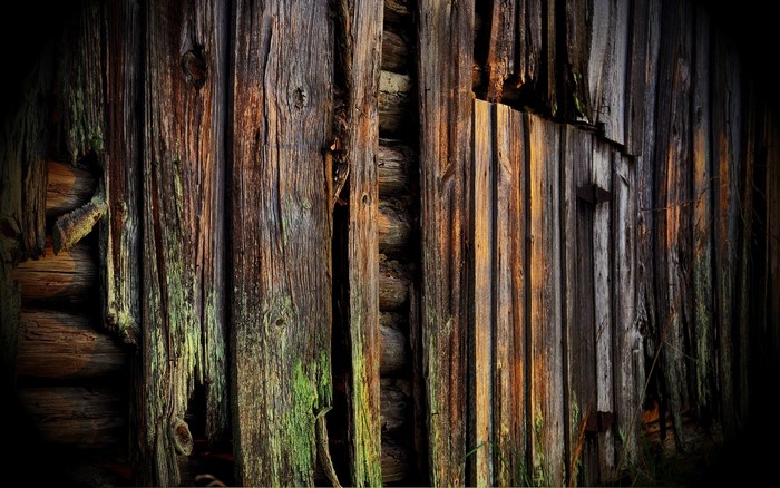 Close-up of weathered wooden planks with moss