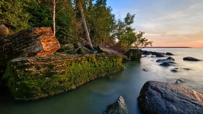 Rocky shore with trees and calm water at sunset