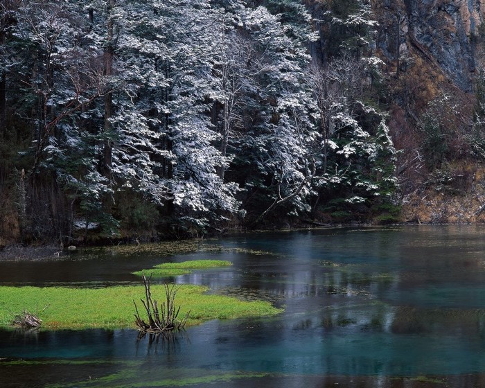 Snow-dusted forest bordering a clear lake with green vegetation
