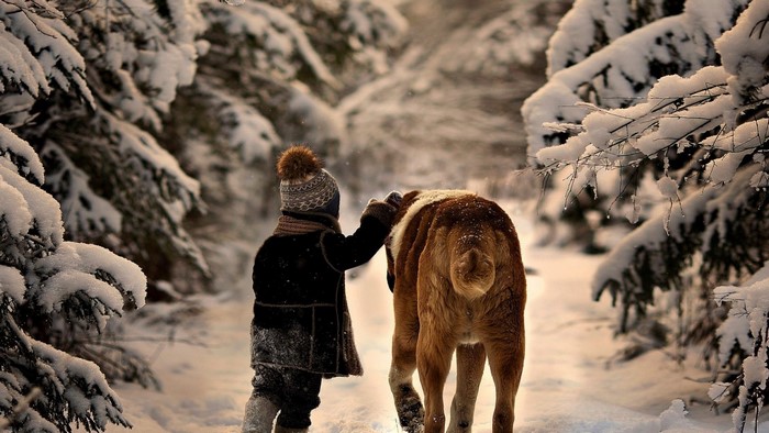 Child petting a dog in a snowy forest