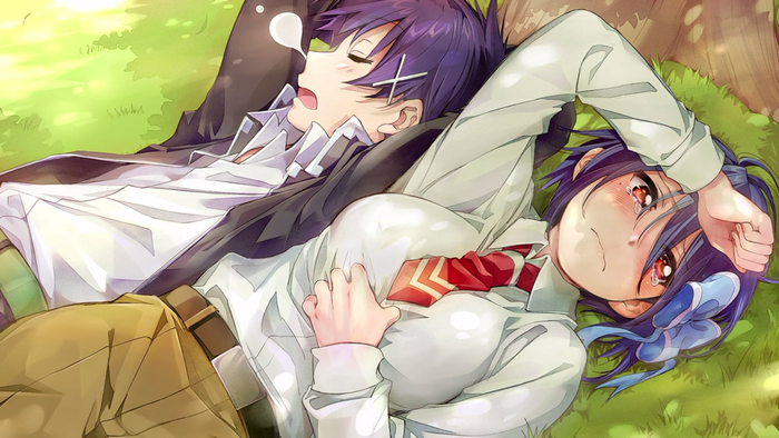 Tsugumi Seishirou and Ichijou Raku from Nisekoi sleeping