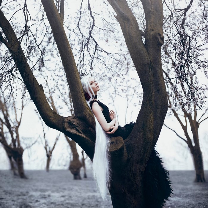 Woman with white hair sitting in a tree
