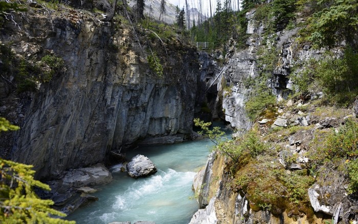 Turquoise river flowing through a rocky canyon with trees