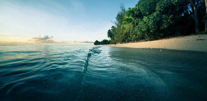 Ocean waves lap a sandy beach with palm trees