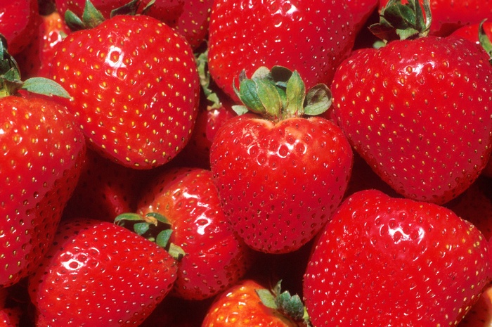 Close-up of fresh strawberries