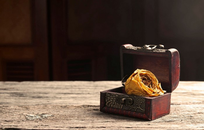 A dried yellow rose in a wooden treasure chest