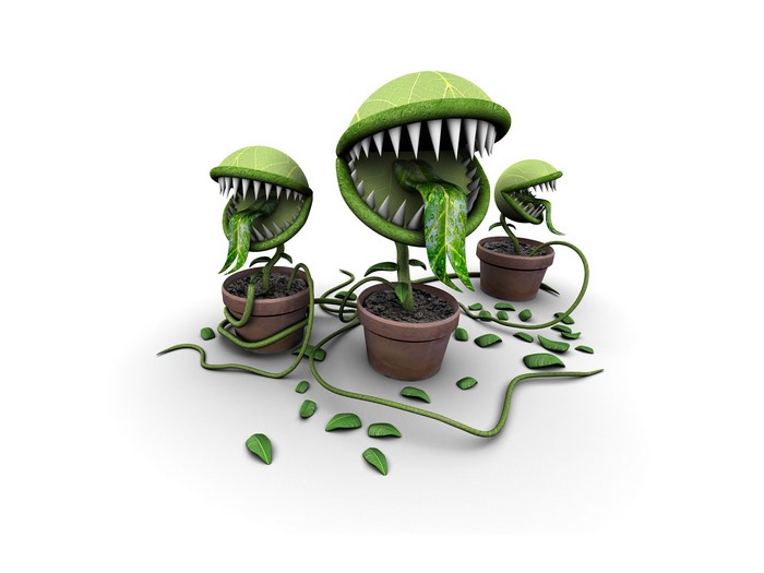 Three Piranha Plants in Pots