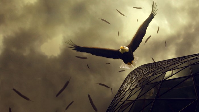 Majestic Bald Eagle Flying Near Modern Building