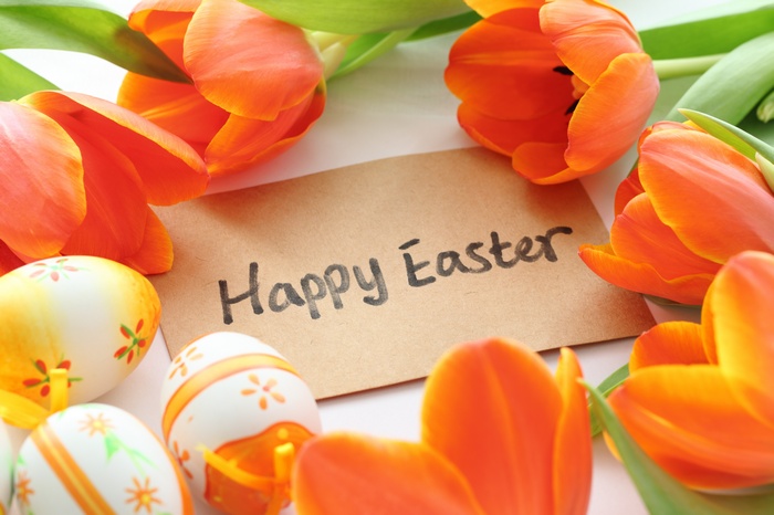 Easter, tulip, flowers