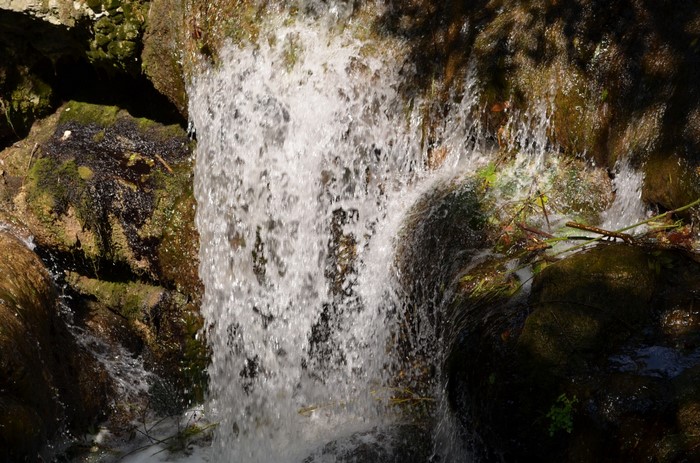 Waterfall cascading over mossy rocks in a forest