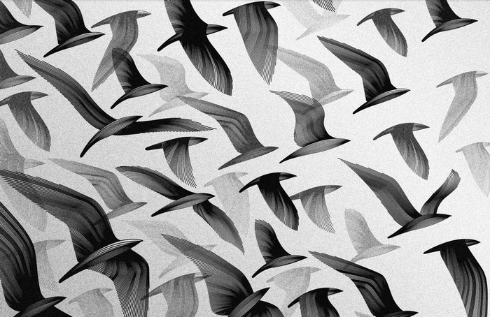 Monochrome illustration of birds in flight