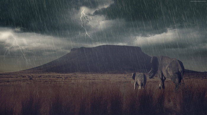 Elephants in a thunderstorm with lightning