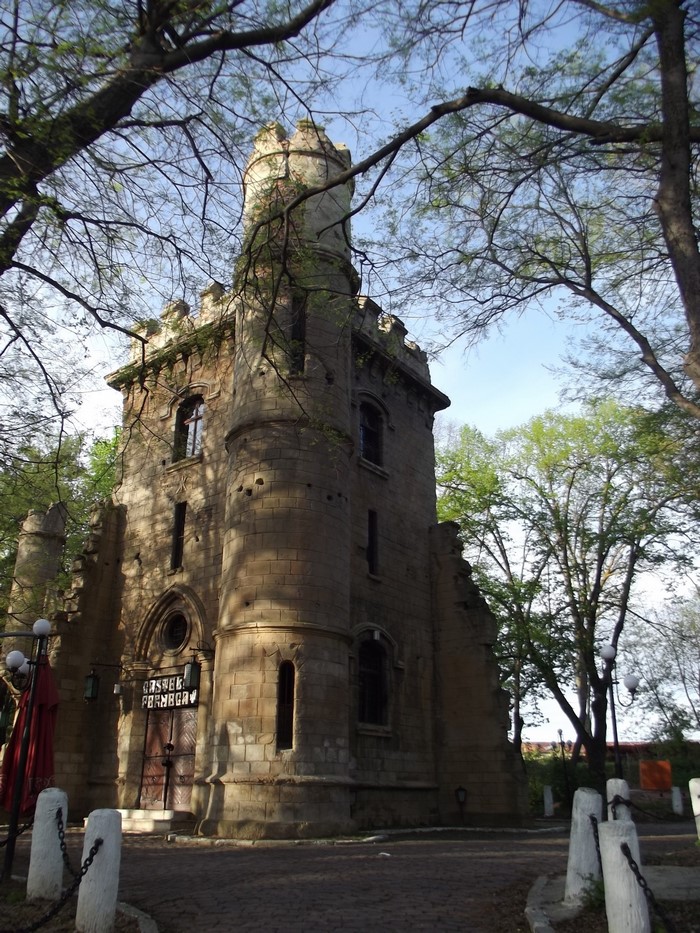 Castle building with trees and sky