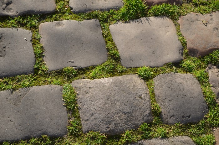 Cobblestone path with grass growing between stones