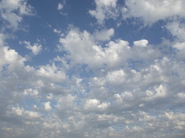 Blue sky with cumulus clouds on a sunny day