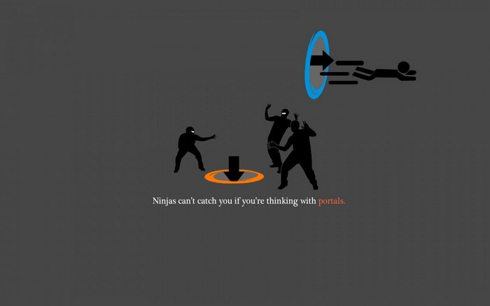 Portal game ninjas and portal