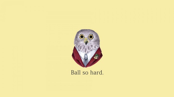 Illustration of an owl in a suit with text