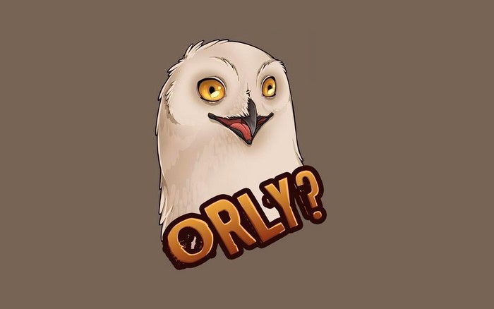 Cartoon owl with "ORLY?" text
