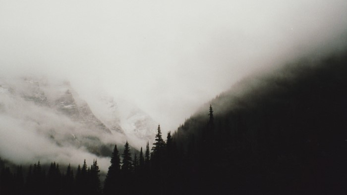 Misty mountains and dark forest landscape