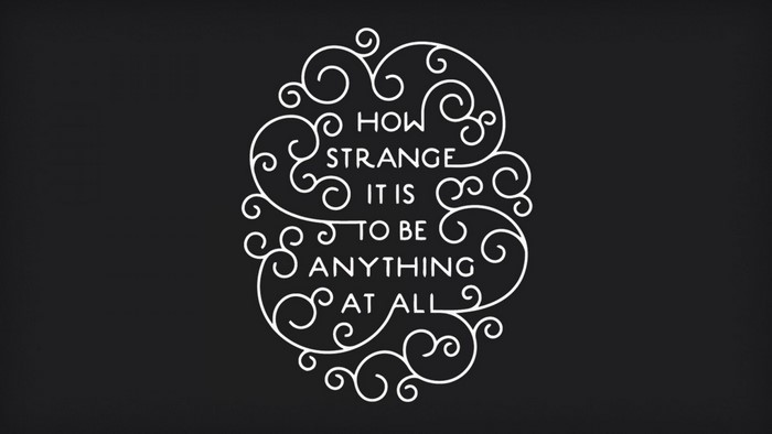 How Strange It Is To Be Anything At All quote illustration