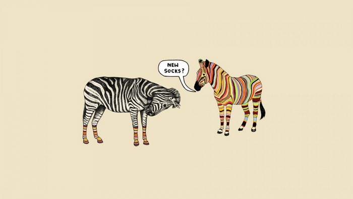 Two zebras, one with colorful stripes, the other with black and white stripes, one asks "New Socks?"