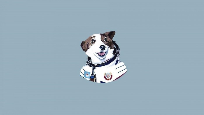 Illustration of a dog in a spacesuit