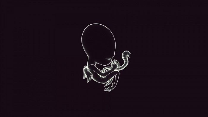 Fetus with umbilical cord on black background