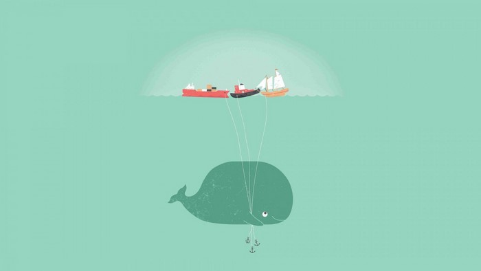 Whale towing ships with anchors