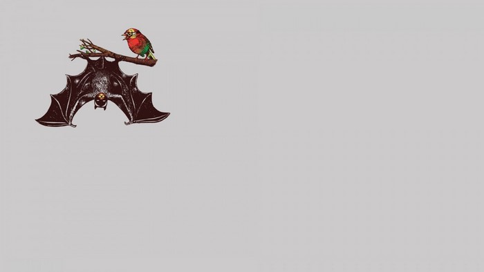 Batman and Robin illustration