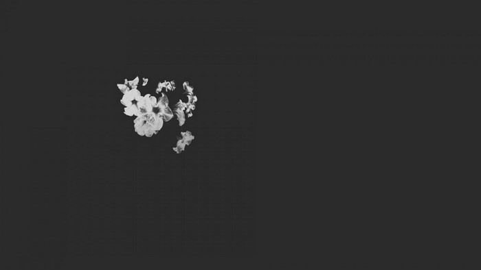 Monochrome flowers on a dark background