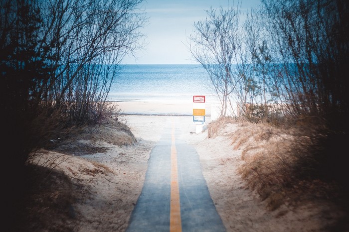 Path to the sea with trees and signs