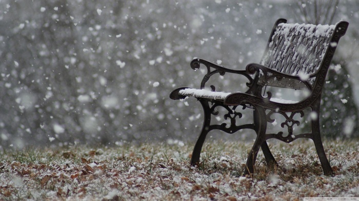 Empty park bench in falling snow