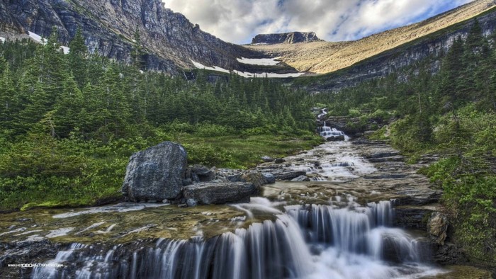 Mountain stream cascading through a forest with rocky slopes