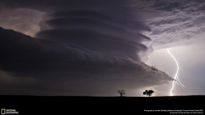 Lightning strikes near a storm cloud over a field with trees