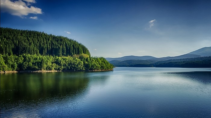 Lake surrounded by pine forest and mountains under blue sky