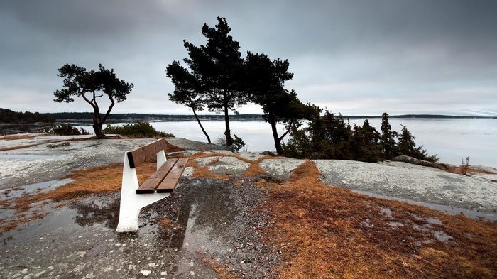 Bench on rocky shore with trees and water